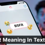 BSFR Meaning in Text