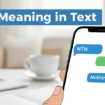 NTN Meaning in Text