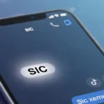 SIC Meaning in Text