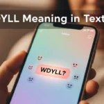 WDYLL Meaning in Text