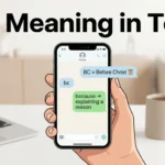 BC Meaning in text