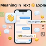 BFN Meaning in Text