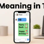 HB Meaning in Text