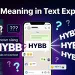 HYBB Meaning in Text