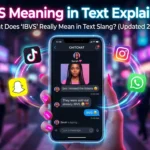IBVS Meaning in Text