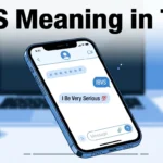 IBVS Meaning in Text