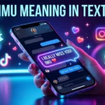 IMU Meaning in text