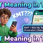 KMT Meaning in Text