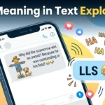 LLS Meaning in Text