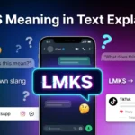 LMKS Meaning in Text