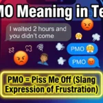 PMO Meaning in Text