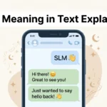 SLM Meaning in Text