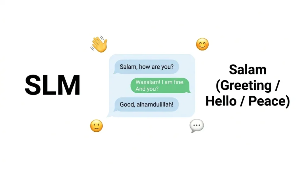 What Does SLM Meaning in Text?