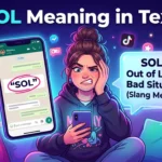SOL meaning in text