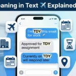 TDY Meaning in Text
