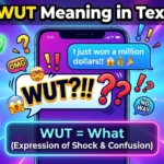 WUT Meaning in Text