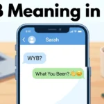 WYB Meaning in Text