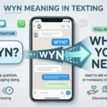 WYN Meaning in Text