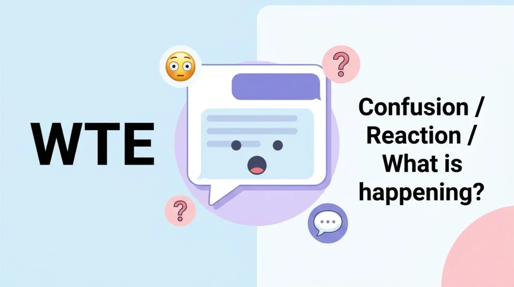 What Does WTE Meaning in Text?