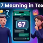 67 Meaning in Text