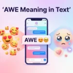 AWE Meaning in Text