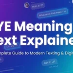 AYE Meaning in Text