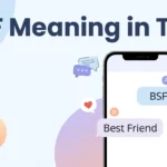 BSF Meaning in Text