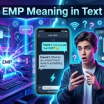 EMP Meaning in Text