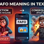FAFO meaning in text