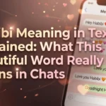 Habibi Meaning in Text
