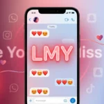 LMY Meaning in Text