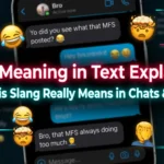 MFS Meaning in Text