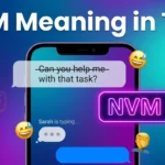 NVM Meaning in Text
