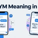 WDYM Meaning in Text