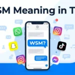 WSM Meaning in Text